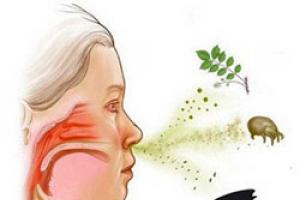 Аллергические реакции: виды, типы, механизмы развития